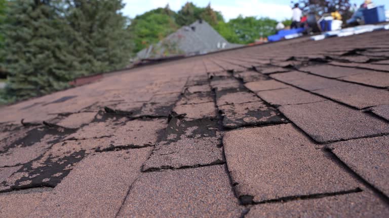 Cold Roofs in Fort Myers Shores, FL